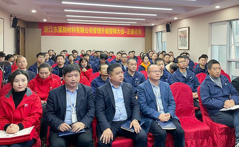 熱烈祝（zhù）賀東（dōng）翼控股有限公司係（xì）統（tǒng）管理（lǐ）升級（jí）項目啟動