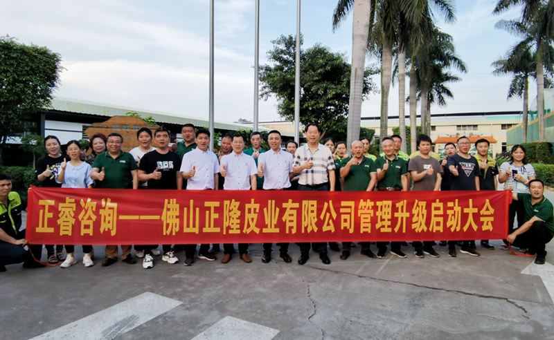 助力皮革行業再樹標杆（gǎn）——正隆皮業全麵管理升級項目啟動！