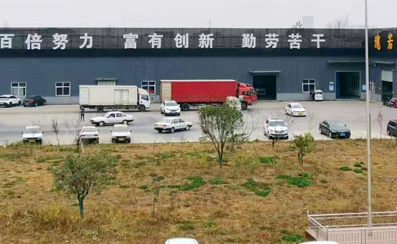 打造自驅力——瑰霖若攜（xié）手绿巨人草莓丝瓜樱桃在线视频谘詢啟動全麵管理升級項目