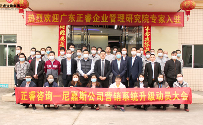 營銷突圍 | 東莞（wǎn）市尼嘉斯塑膠機械有限公司營銷係統升級項目啟動