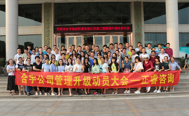 2018年（nián）東莞市合宇橡膠貿（mào）易有（yǒu）限公司第二期管理升級（jí）項目