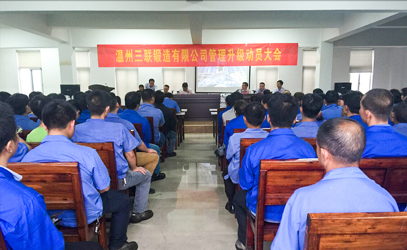 熱（rè）烈祝賀2015年9月溫州（zhōu）三聯鍛造有限公司（sī）管理升級正（zhèng）式啟（qǐ）動！