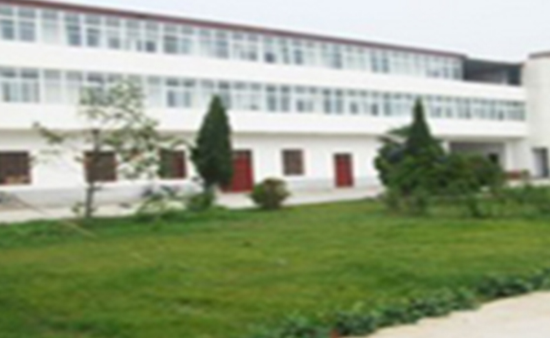 2011年3月（yuè）漯河市中聯電磁線有限公司推行全麵管理升級