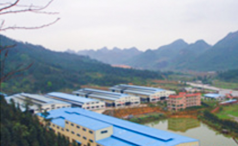 2009年6月19日—12月18日（rì）廣東陽（yáng）山聯合鑄造有限公司推行全麵管理升級