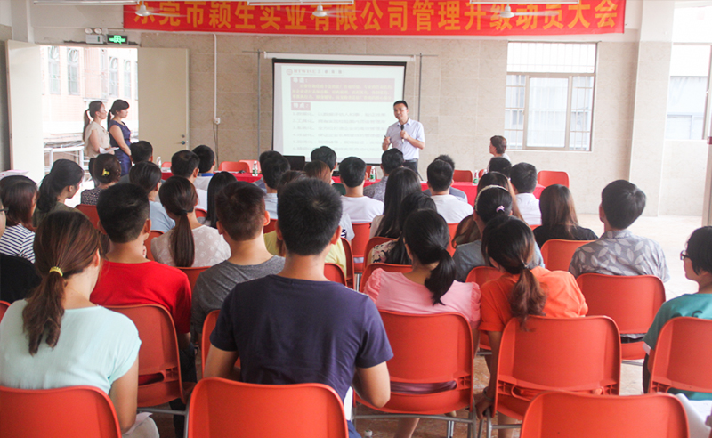 2015年6月（yuè）1日—至今東莞市穎（yǐng）生實（shí）業（yè）有限公司推行全麵管（guǎn）理升級（jí）