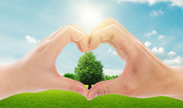 年（nián）度可持續發展計劃：綠色發展，共（gòng）享價值