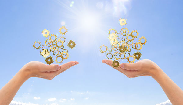 多品牌戰略：協同作（zuò）戰，共創輝煌