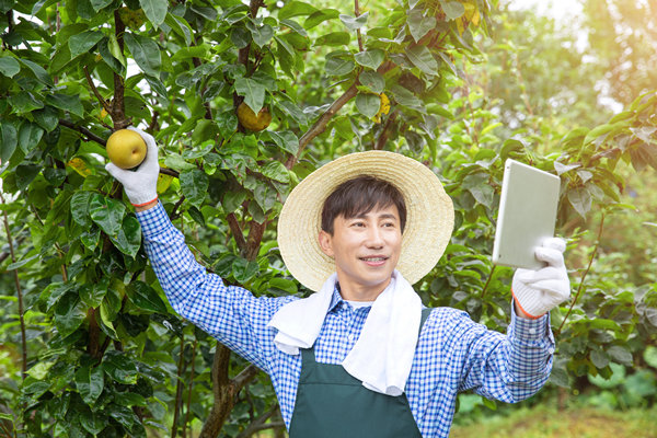 數字化營銷：利用數字技術製定精準營銷策略