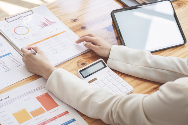 年度風險防控計劃：風（fēng）險防範，穩健前行（háng）