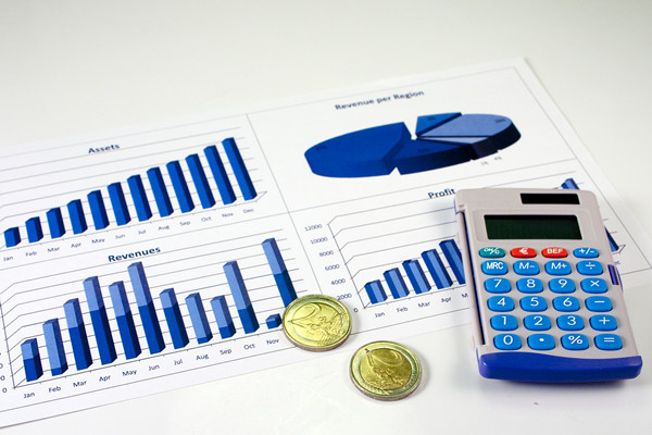 戰略布局：引領（lǐng）企業走向成功的年度經營計劃