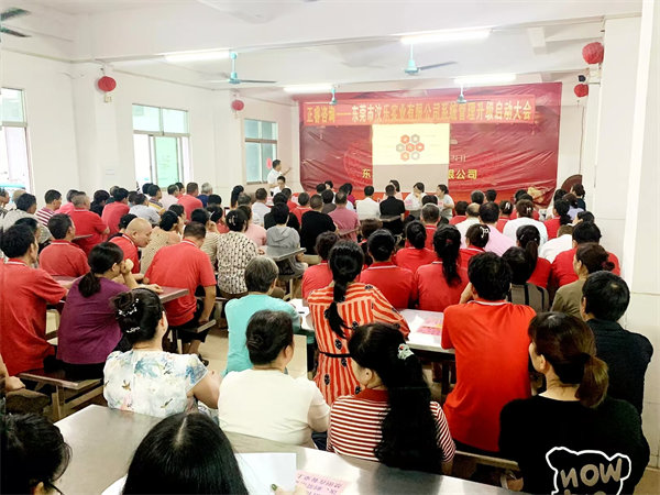 東莞市汶樂實（shí）業有限公（gōng）司係統管理（lǐ）升級項目啟動