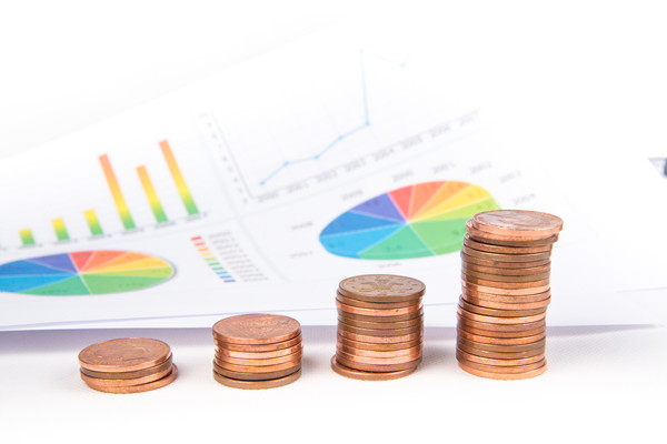 靈活預算管理：如何在（zài）不確（què）定環境中保持（chí）財務穩（wěn）健？