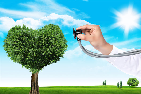 員工福利設計新思維：如何平衡成本效益與員工（gōng）滿意（yì）度？