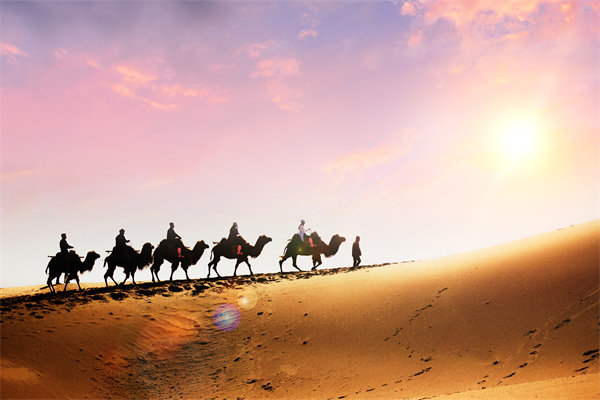 企業（yè）文化在人力資源（yuán）管理中，扮（bàn）演著怎樣的角色？