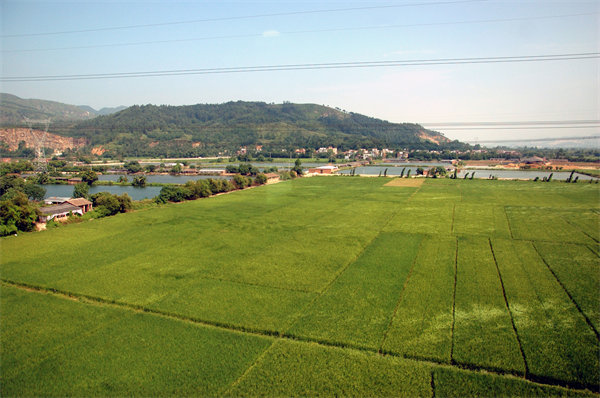 清遠（yuǎn）績效谘詢（xún）公司如何定製高效績效管理體係？