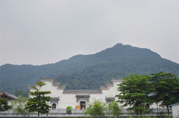 佛山組織（zhī）規劃谘詢（xún）公司如何優化企業人才梯隊建設？