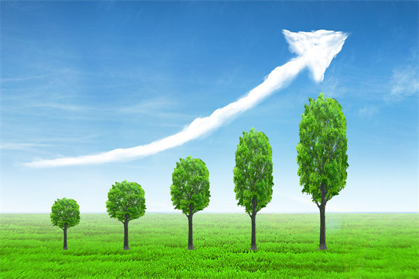 植樹就（jiù）是植未來，對（duì）企業的（de）戰略規劃有哪些啟示？