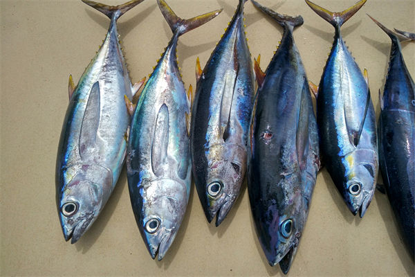 商務（wù）部：將幫助外（wài）貿企業擴寬內銷渠道，政策（cè）解讀（dú）！