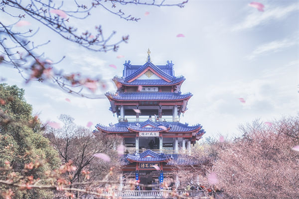 供應鏈成本（běn）居高不（bú）下，無錫供（gòng）應鏈谘詢公司如何精準砍出利潤空間？