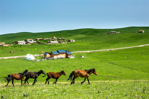 飛新疆的機票價格漲爆了，什麽情（qíng）況？是營銷炒作？