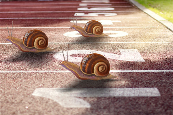 新（xīn）業務拓展艱（jiān）難，年度經營計劃為其（qí）定製專屬發展路徑（jìng）