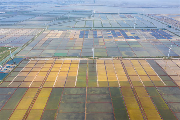 濰坊製造業招工難留人更難，濰（wéi）坊（fāng）人力資源谘詢公司如何破局用（yòng）工困局？