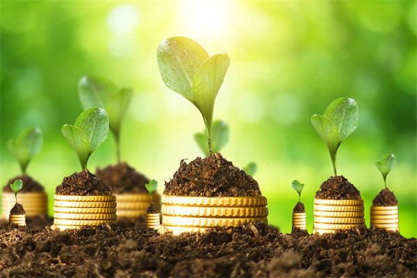 預算（suàn）管理谘詢公司（sī）如何幫助企業破解資金錯配問題？