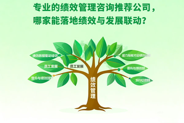 專業的績效管理谘詢推薦公司，哪家能落地績效與發展聯動？