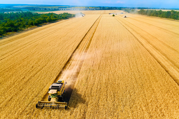 農（nóng）業行業供應鏈管（guǎn）理谘詢公司推薦，能（néng）解農資采購成（chéng）本高問題嗎？