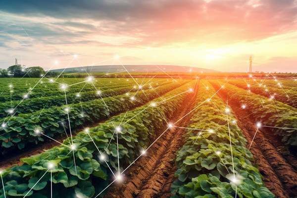 「谘詢公司」供應鏈管理的目的和意義（yì）是什麽？