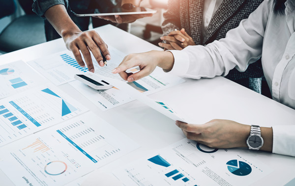 預算分析谘詢：提供分析工具與（yǔ）策略（luè），幫助企業發現問題