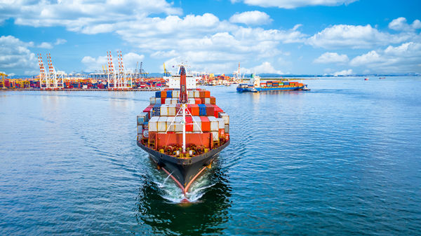 供應鏈谘詢：如何提高供應鏈的透明度和可追溯性？