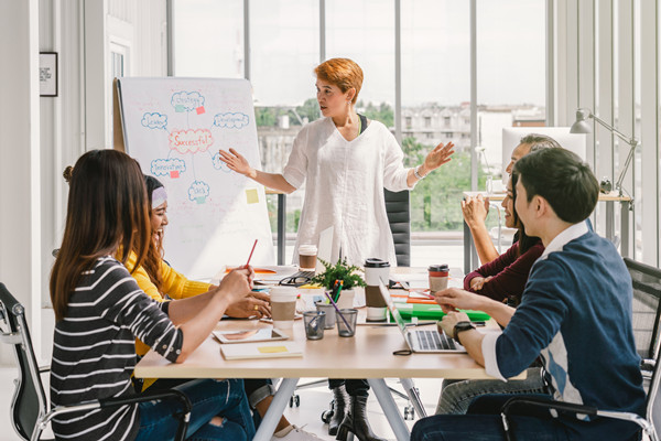 集團管控中的組織結構優化：原（yuán）則（zé）、方法與（yǔ）實踐（jiàn）