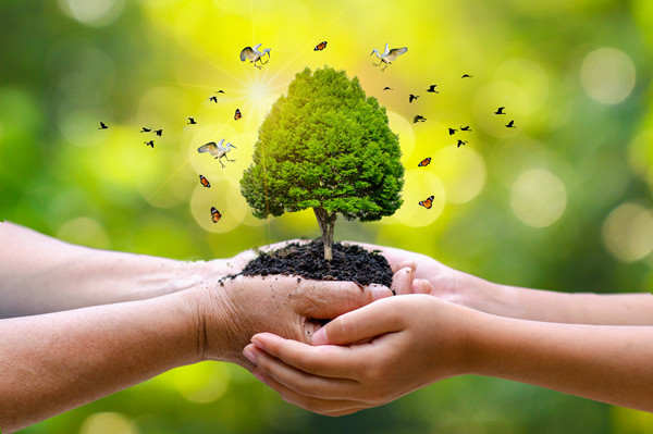 塑造未來領導者：從領導力培養到企業可持續發展（zhǎn）