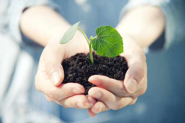 企業管（guǎn）理（lǐ）中（zhōng）的社會責任：構建可持續（xù）發展的商業模式（shì）