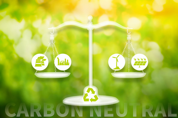 綠色（sè）經濟中的企業戰略：低碳發展的路徑