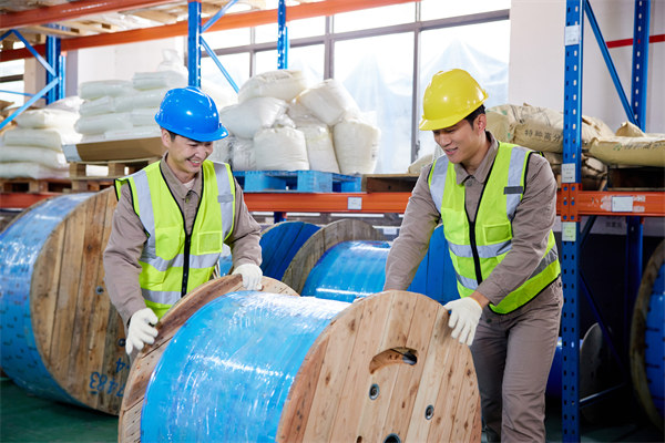 協同供應鏈：強化合作（zuò）夥（huǒ）伴關係，提升整（zhěng）體競爭力