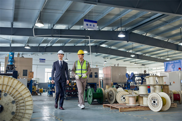 協同供（gòng）應鏈：強化合作夥伴關係，提升整體競爭力