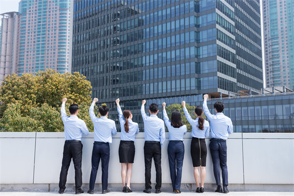 優（yōu）化組織（zhī）結構，提升（shēng）協作效能（néng），助推組（zǔ）織發展新高度