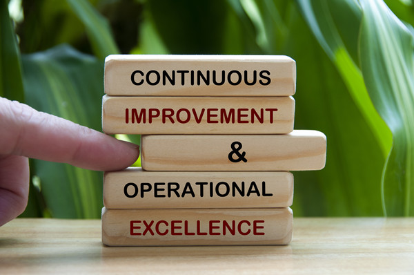 深（shēn）化精益管理理念，打造高效靈活的生（shēng）產體係