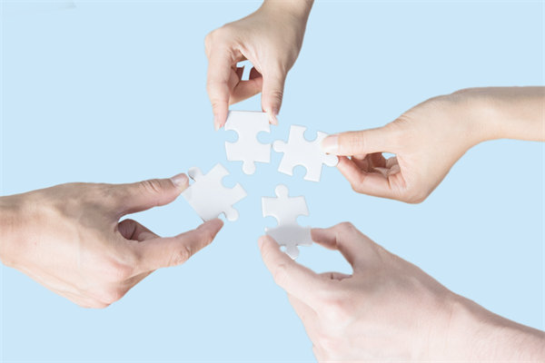 單體公司（sī）與集團型公司運作的差異體現在哪些地方（fāng）？