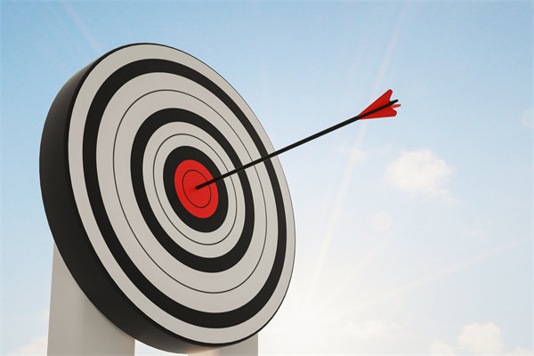 如何（hé）通（tōng）過集團管控，提升整體運營（yíng）效率（lǜ）與競爭力？