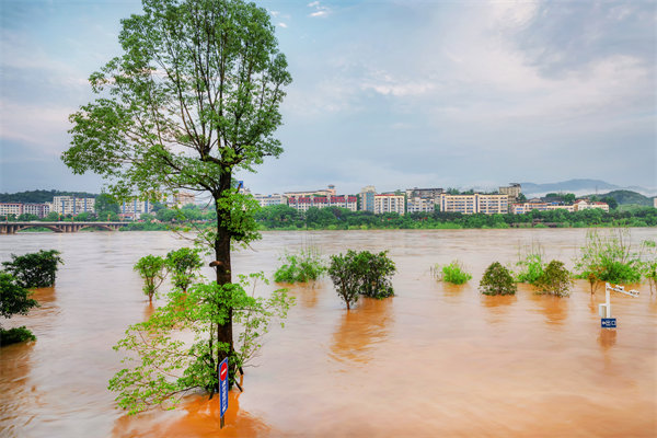 供應（yīng）鏈韌性建設：麵對自然災害的應急計劃與恢複力？