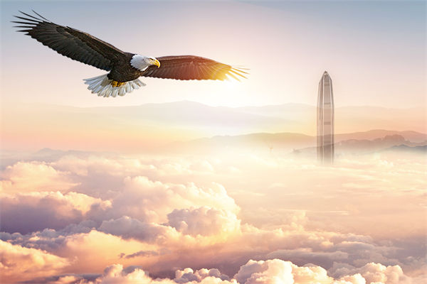 企業文化與企業（yè）管理如何協同，推動企業持續發展？