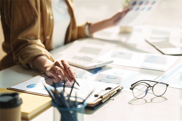 在預算執行中，如何確保監控與調整機製的有效性？