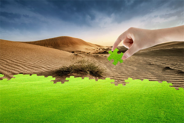 企（qǐ）業深陷困境（jìng），管理谘詢如何以雷霆手段打（dǎ）破發展僵局？