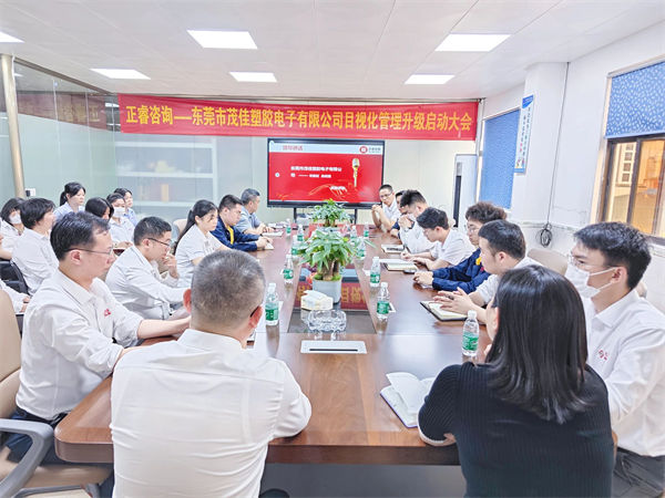 東莞市（shì）茂佳塑膠電子有限公司目視化管理升級啟動大會