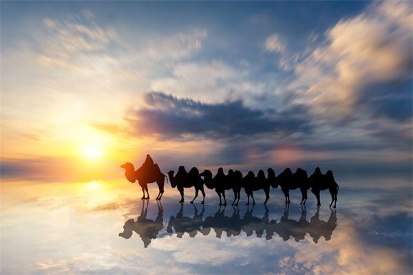 戰略與文（wén）化脫節，企業理念如何落地支撐發展？