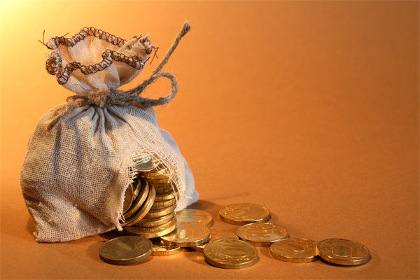 人（rén）力資源管理分析：女子（zǐ）挪用公司近1700萬買奢侈品