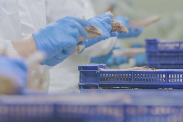 本土駐廠精益生（shēng）產谘詢哪家強，能快速提升產線流轉效率麽？